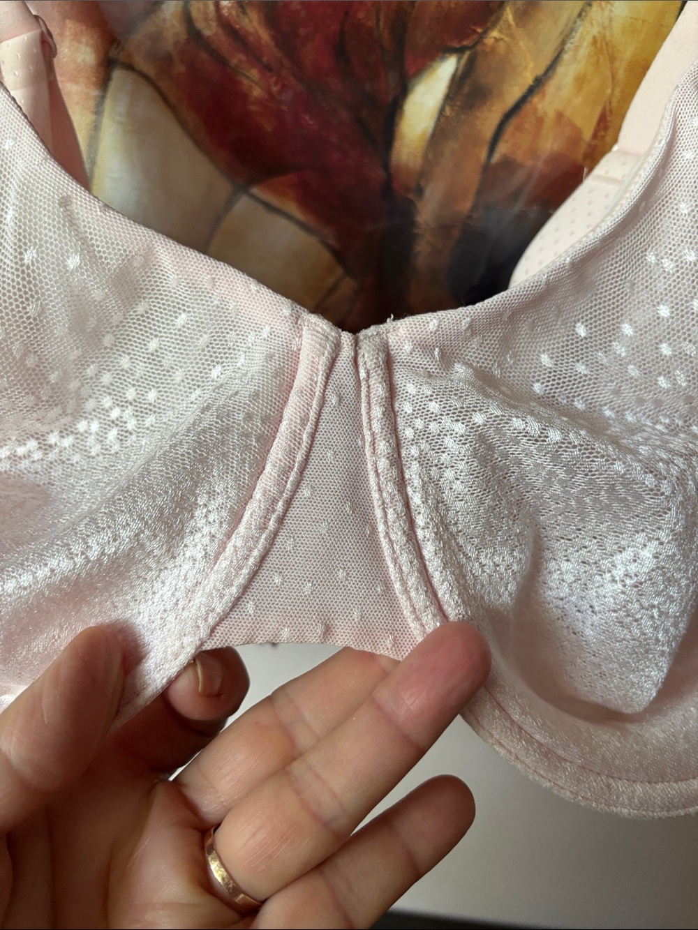 NEW, Wacoal Shimmery Light Pink Underwire Bra - Picture 7 of 10